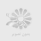 ملانیا کوین: پیوندی نوین بین فناوری و اقتصاد دیجیتال